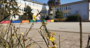 OS-Andra-Savcic-2