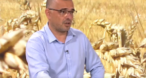 Branislav-Nedimovic