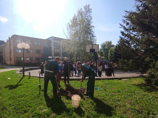 Gimnazija-generacijsko-drvo-3 Gimnazija-generacijsko-drvo-3