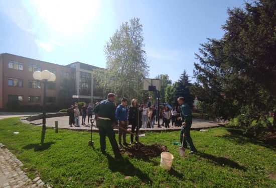 Gimnazija-generacijsko-drvo-4 Gimnazija-generacijsko-drvo-4