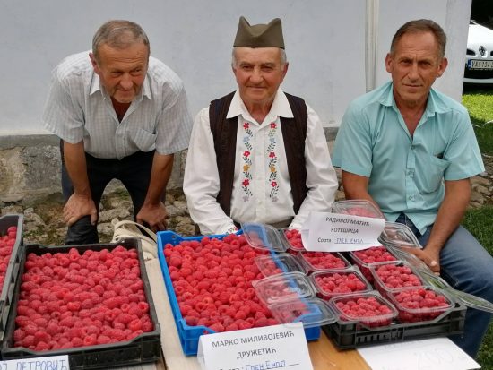 Dani-maline-Brankovina-Valjevo-11 Dani-maline-Brankovina-Valjevo-11