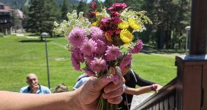 IMG_20220619_141434