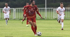 TRIPKOVIC