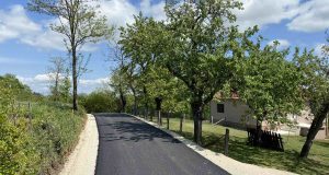 Brangovic3