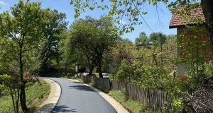 Brangovic4