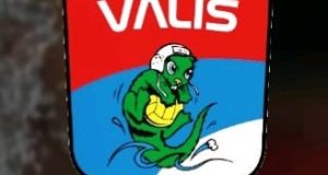logo VALIS