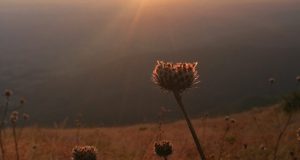 IMG-71ad6477197a00f5c0fe74ca5bfbf483-V