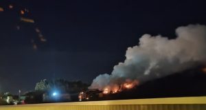 Požar deponija (2)