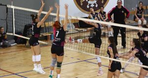 SRB-ŠUM2-1