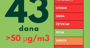 15 Index