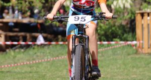 IMG-8233655088764b7d101f01b3e4d3b8d5-V