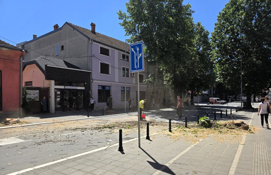 Platani - Seča - Ulica Vuka Karadžića