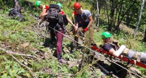 IMG-1e6c5a408fdd53ba459b325f9a65df37-V