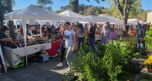 Valjevo Koceljeva Festival zimnice (2)