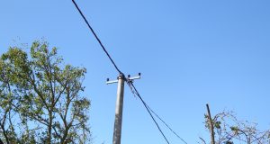 DSC03502