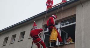 naslovna