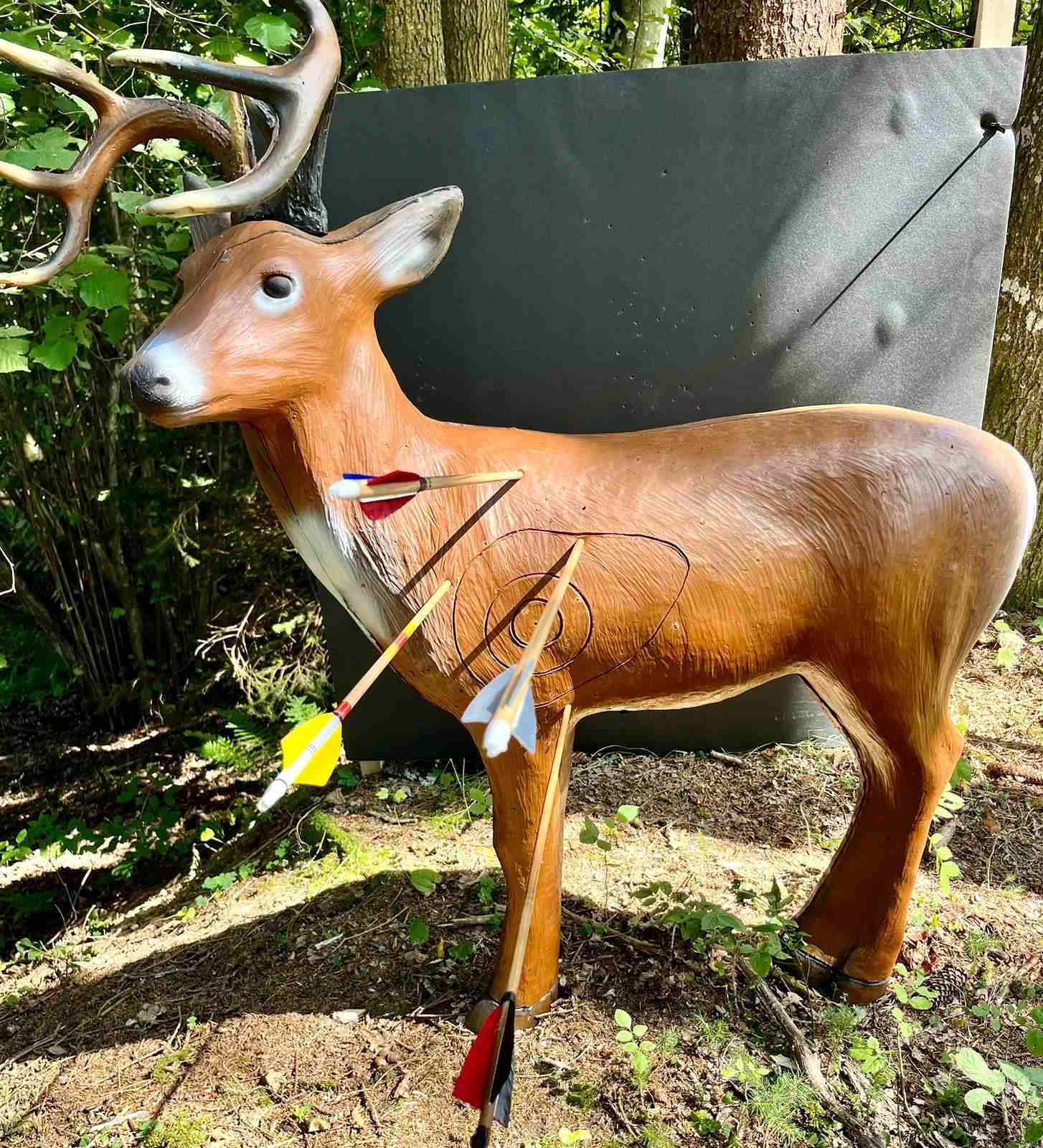 3D streličarstvo (3) 3D streličarstvo (3)