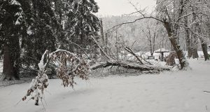 Park Pećina Valjevo
