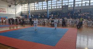 IMG 20260208 101429